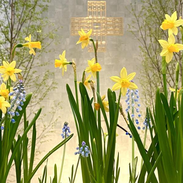 Pfarrbriefservice.de