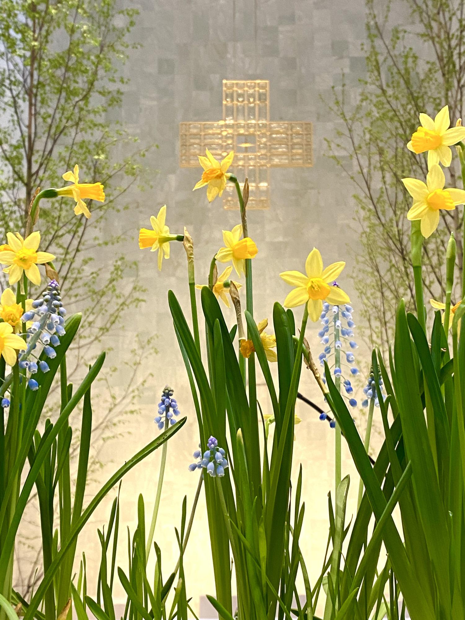 Pfarrbriefservice.de