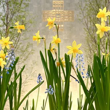 Pfarrbriefservice.de