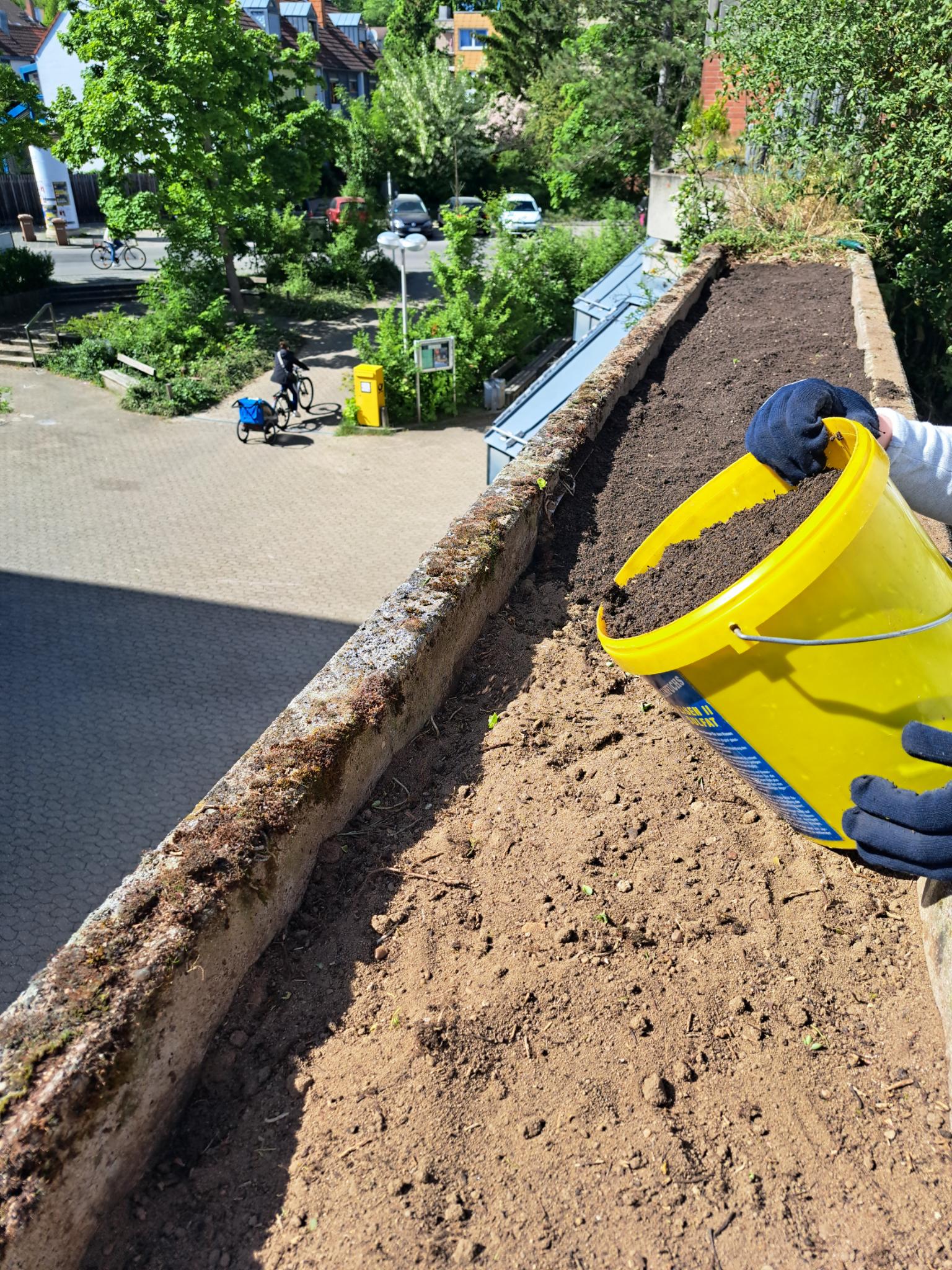 Pflanztag in Südwest