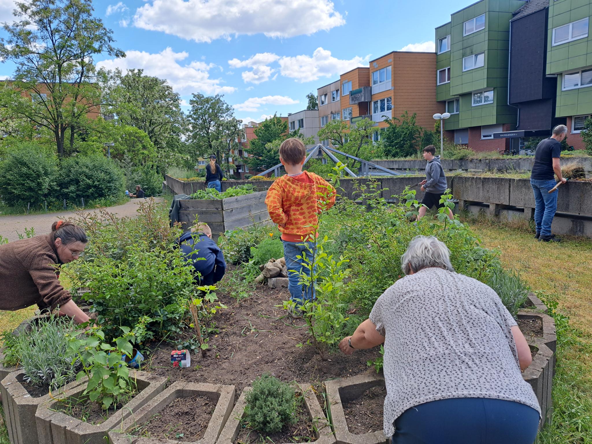 Pflanztag in Südwest