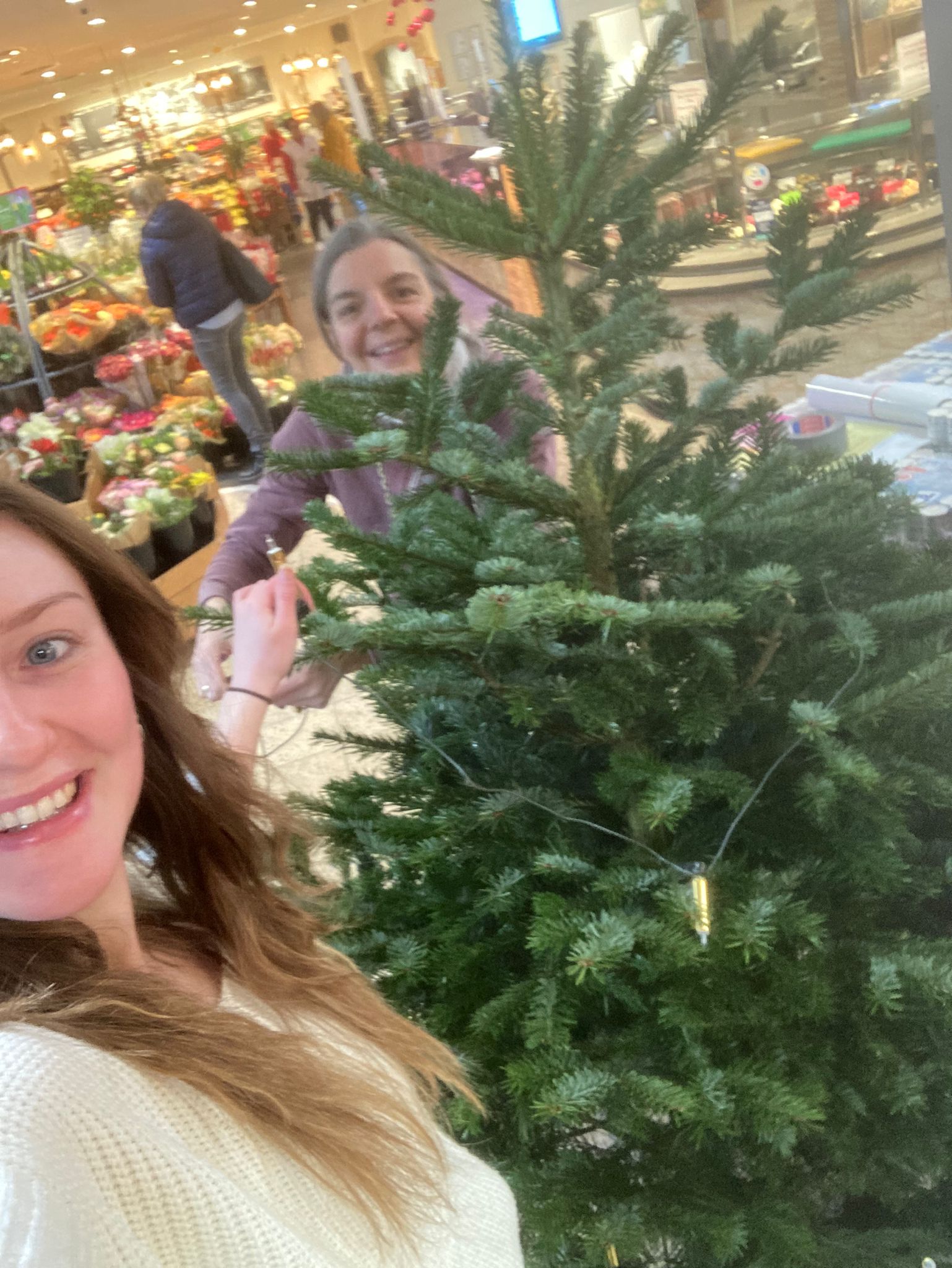 Wunschbaum Süd-West